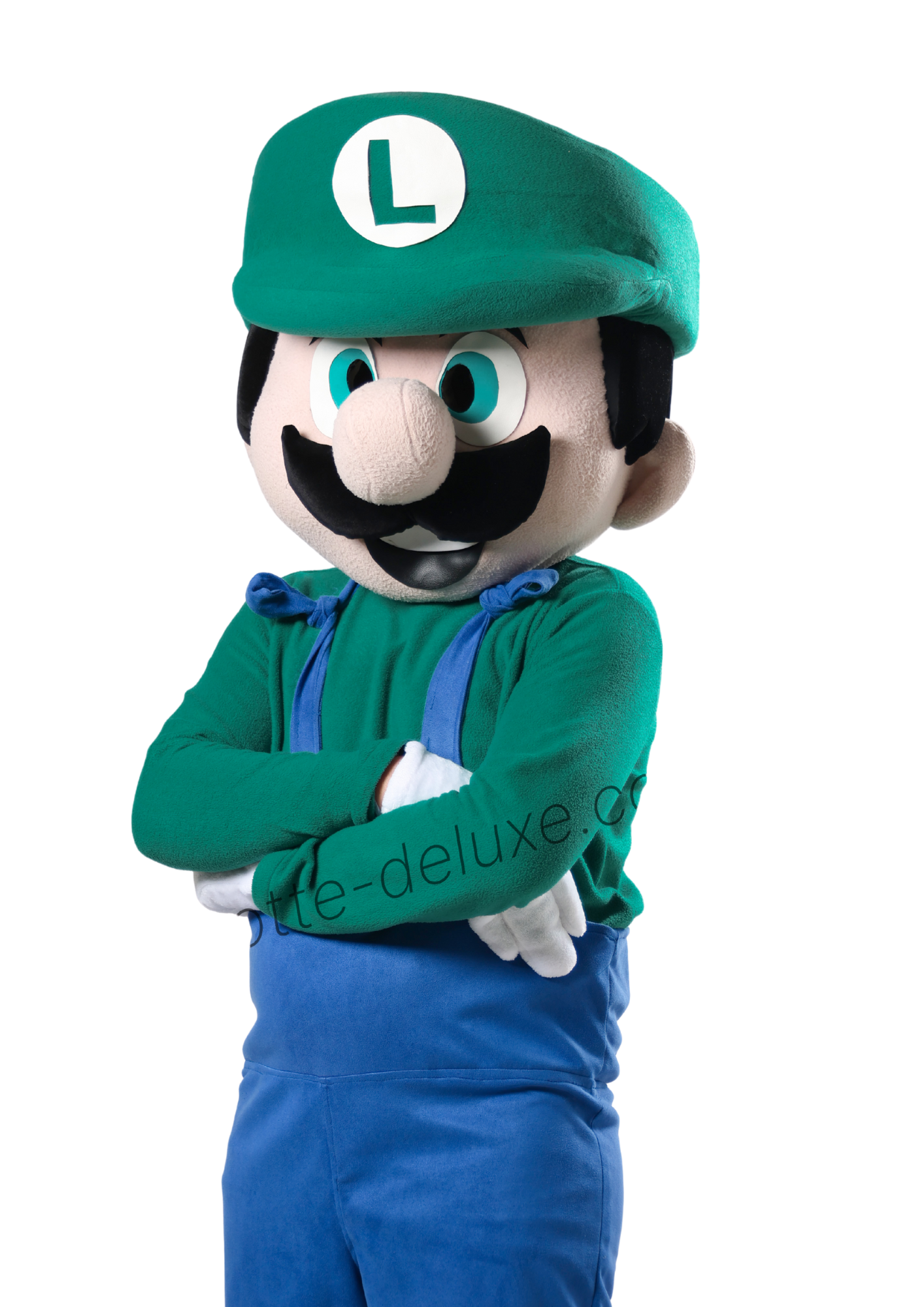 Premium Mascot Costume
